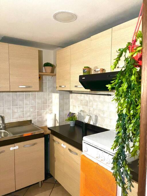 Neapolitan Dream Appartement